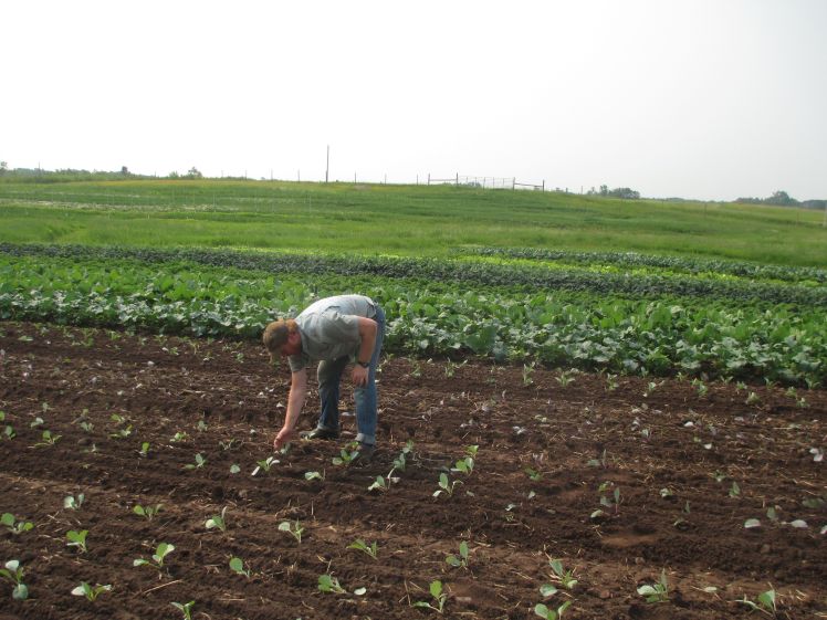 Rick and weeding aftermath