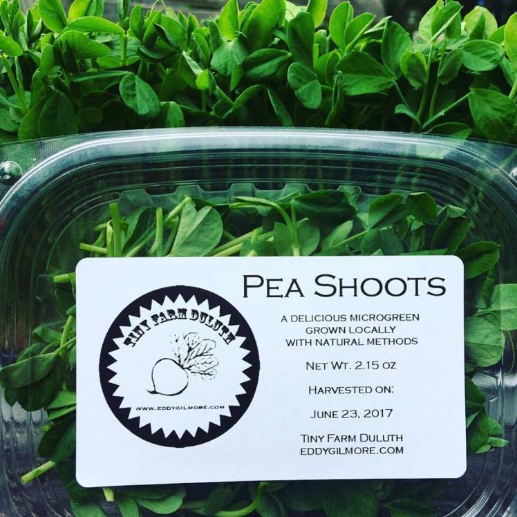 19260626_542226355901826_6703770971382472900_n