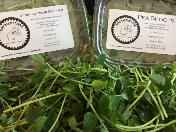 grocery store offerings